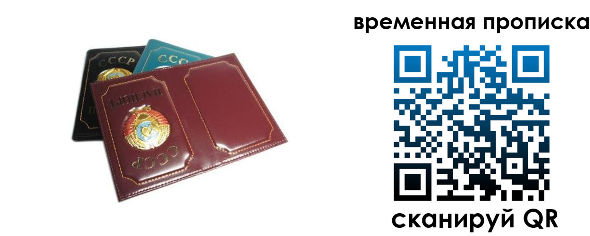 прописка 2025 в Данкове